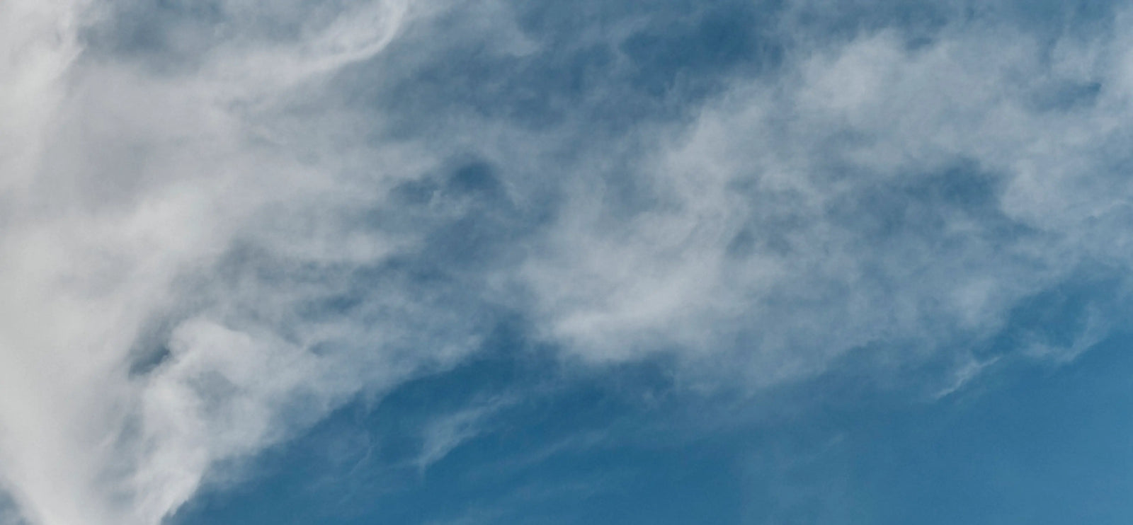 OURSELVES & OUR PLANET